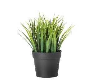 Miniplant