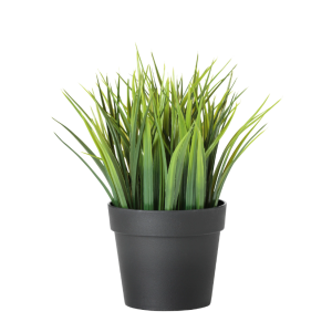 Miniplant